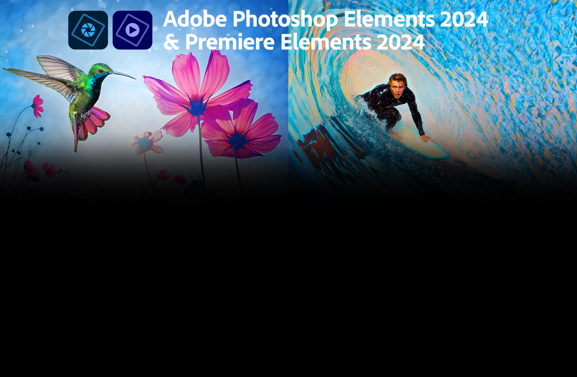 Buy Adobe Elements 2024 & Adobe Premiere Elements 2024 (Mac