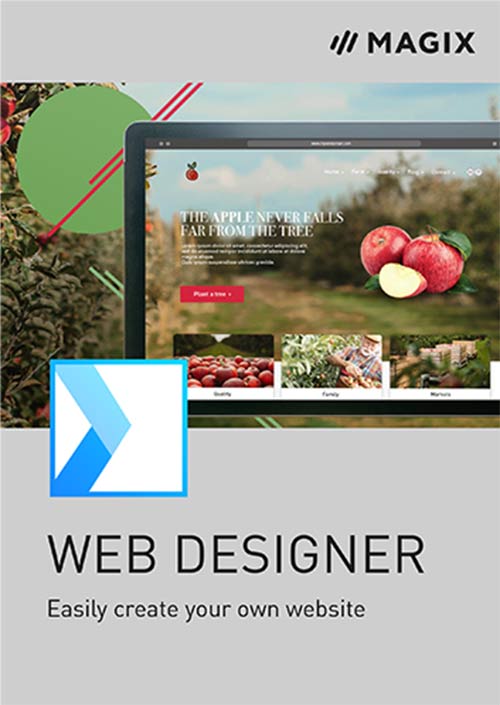 Web Designer 18