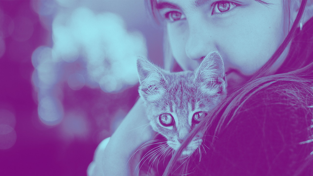 Adobe photoshop elements 201 Adobe photoshop elements 201